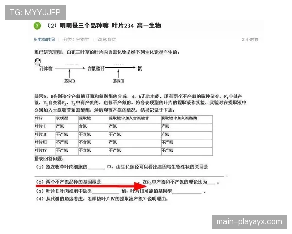 弃权规则中判定条件与赛果处理标准 弃权规则中判定条件与赛果处理标准